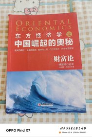 中国崛起的奥秘 财富论