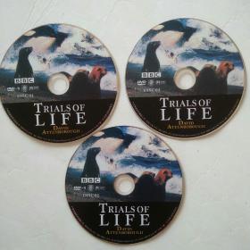 BBC纪录片 生命系列之 生命之源 Trials of Life  共3张DVD