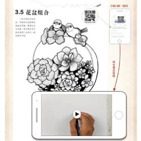 轻松学线描画技法–从入门到精通