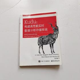 Kudu：构建高性能实时数据分析存储系统(博文视点出品)前两页书边上有一点点点水印