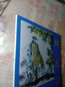 种梨