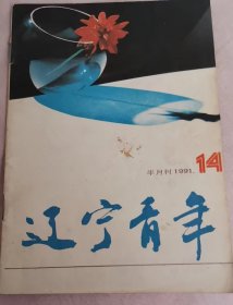 辽宁青年杂志1991年14