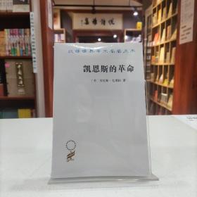 凯恩斯的革命（汉译名著19）