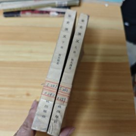 宋史演义上下册