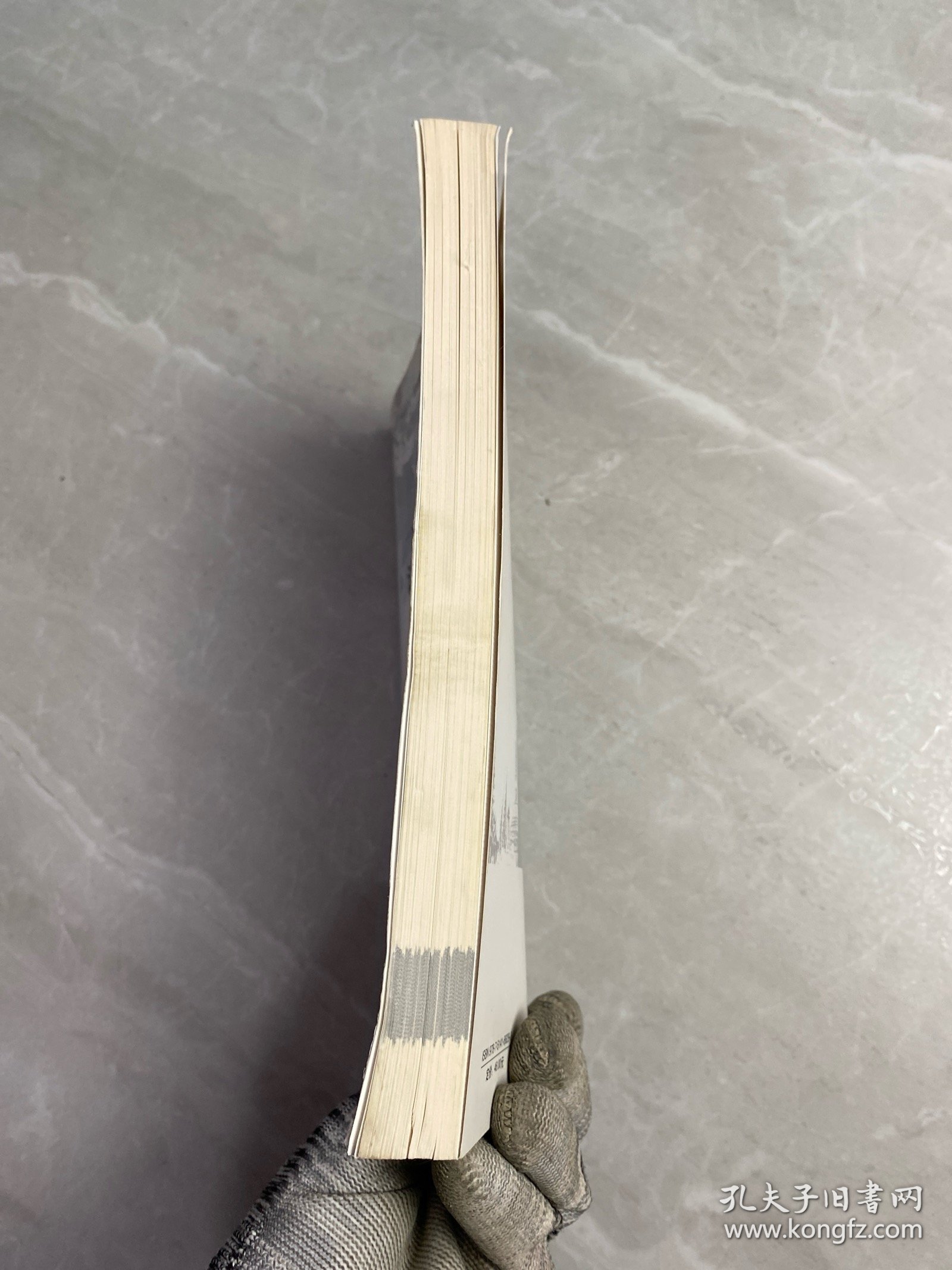 一带一路沿线国家法律风险防范指引（缅甸）