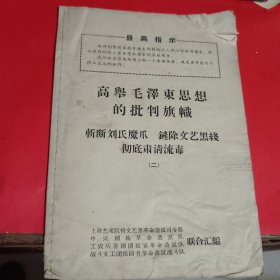 高举毛泽东思想的批判旗帜