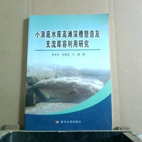 小浪底水库高滩深槽塑造及支流库容利用研究