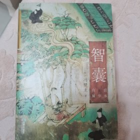 智囊（白话精华本）