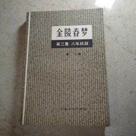 金陵春梦 （第三集）