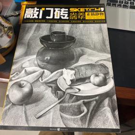 敲门砖美术系列丛书：素描静物