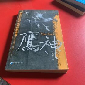 鹰神：中国空军创世纪背后的故事