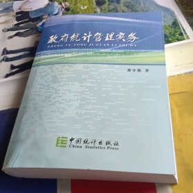 政府统计管理实务