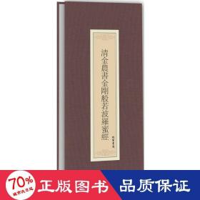 历代名家临摹系列：清金农书金刚般若波罗蜜经