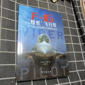 F-16“蝰蛇”飞行员 : 震撼人心的现代空战回忆录