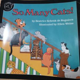 So Many Cats!