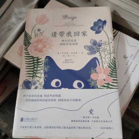 请带我回家