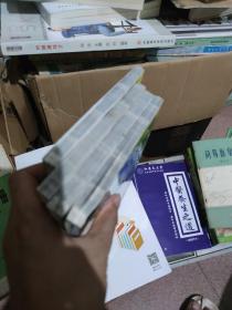 自助探险系列：1-6册1: 撒玛女巫的诅咒 2，孤岛寻宝、3，双头蛇神杖、6，T星极光
