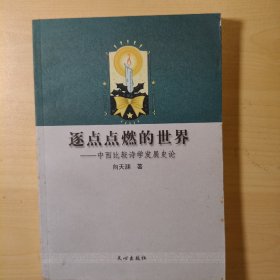 逐点点燃的世界:中西比较诗学发展史论