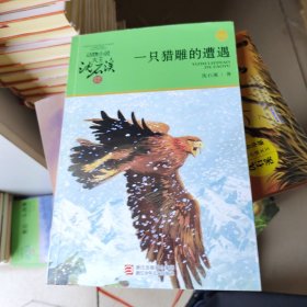 动物小说大王沈石溪·品藏书系·一只猎雕的遭遇