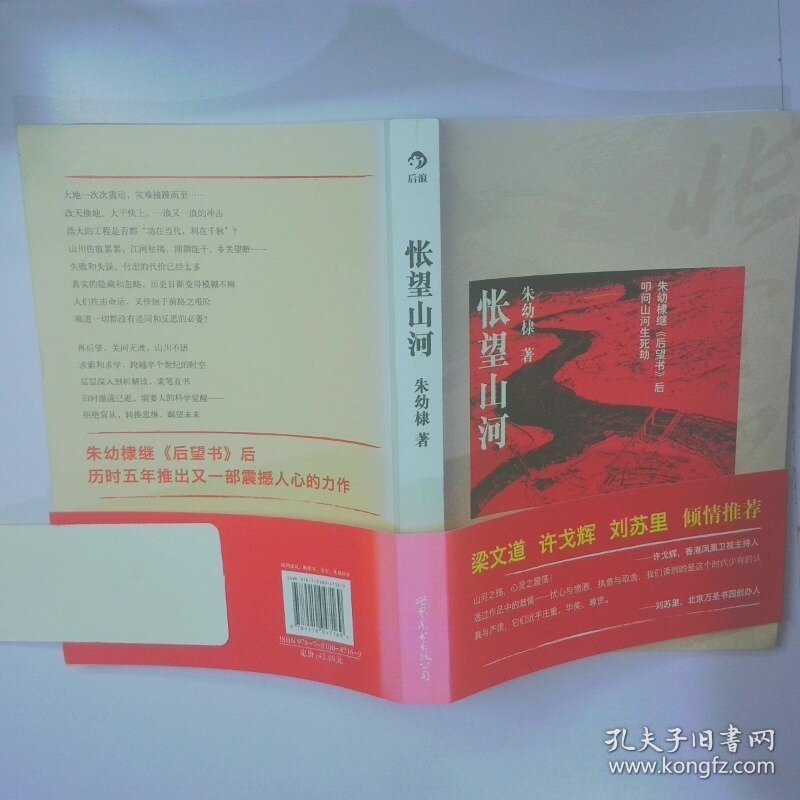 怅望山河 二手书实拍图