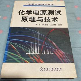 化学电源测试原理与技术——化学电源技术丛书