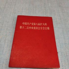 中国共产党第八届扩大的第12次中央委员会 全会公报(有毛林合影)****A11