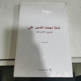 中国走社会主义道路为什么成功（阿）