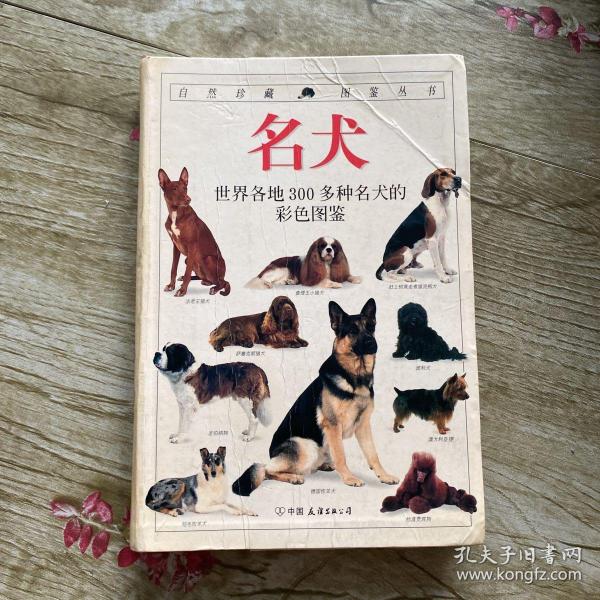 名犬：全世界300多种名犬的彩色图鉴