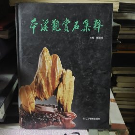 本溪观赏石集粹