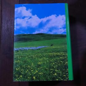 内蒙古自治区旗县情大全 布赫题字