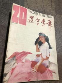 辽宁青年1993.20