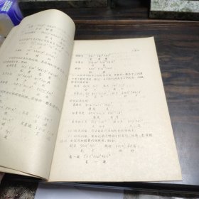 【少数民族资料】 中国少数民族语言音档 黎语[侾方言罗活土语]16开平装