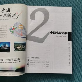 中篇小说选刊（2011年第2期/总第179期）（包邮）