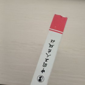 中国名人传·林徽因传：你是人间四月天