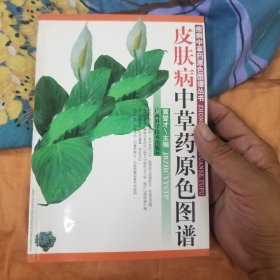 皮肤病中草药原色图谱----【疾病中草药原色图谱丛书】