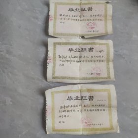 毕业证一套三张