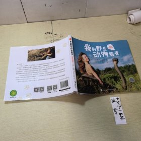 我的野生动物朋友