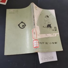 大电子和小专家
