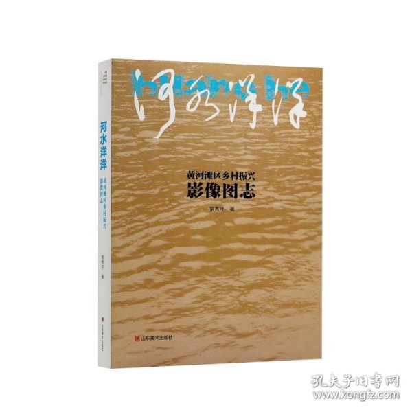 河水洋洋——黄河滩区乡村振兴影像图志常秀芹山东美术出版社9787533096144正版