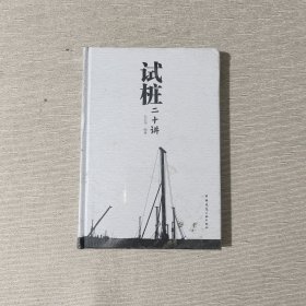 试桩二十讲