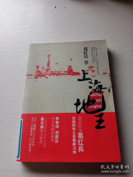 上海地王：(全国30多家报纸争相连载,上海滩神秘地产富豪戴志康强力推荐,揭示一代地王产生真相的超人气力作)