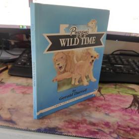   精装原版，英文正版绘本 Puppy wild time 小狗在野外的日子9780952208433