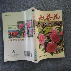 正版 金盾出版社   山茶花盆栽与繁育技术