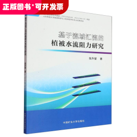 基于流域汇流的植被水流阻力研究