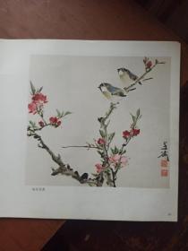 王雪涛画集
