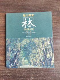 魅力南京（林）