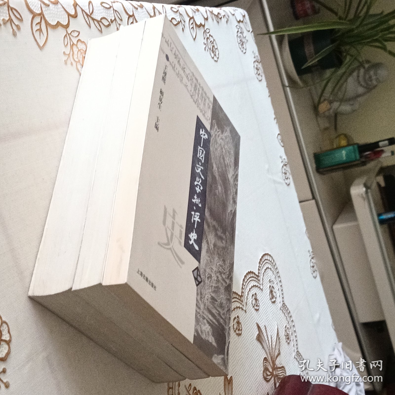 中国文学批评史（上中下）