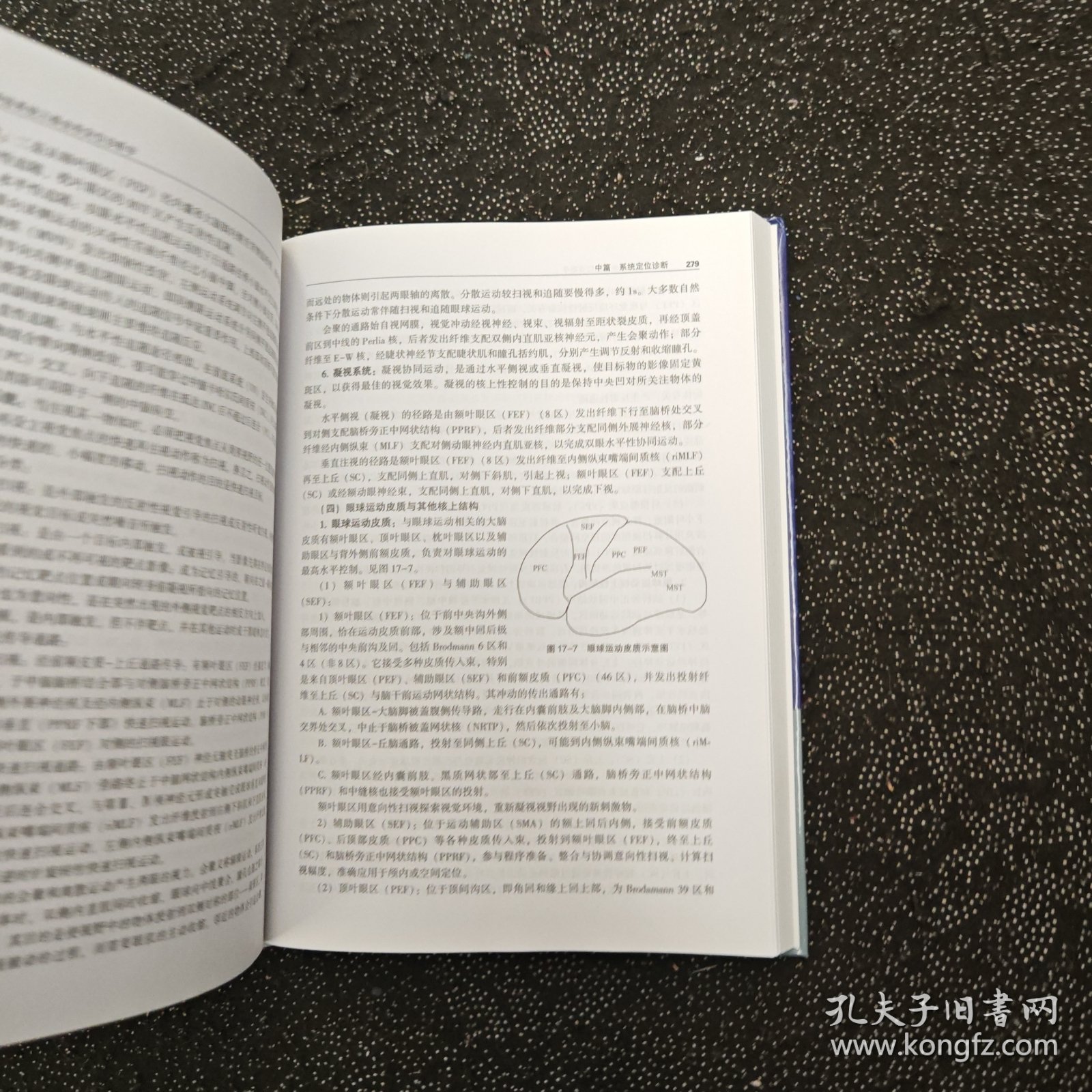 神经系统三维坐标定位诊断学