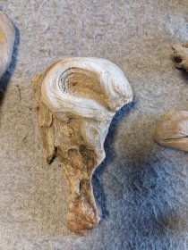 太行陈化崖柏独眼 完整 原滋原味 20*11*7cm