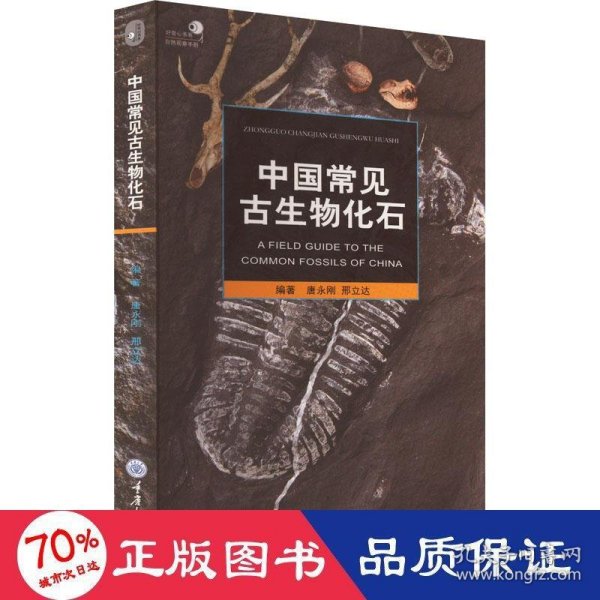 中国常见古生物化石